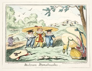Svampmonstrositeter, pub. 1835 (handkolorerad gravyr)